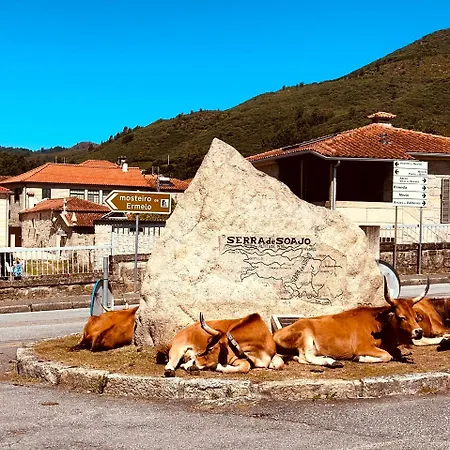 Casa Da Touca Alloggio per agriturismo