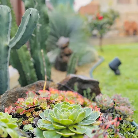 Alloggio per agriturismo Casa Da Touca *