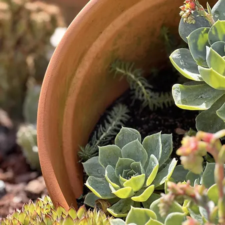 Casa Da Touca Arcos de Valdevez
