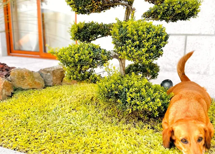 Casa Da Touca Фермерский дом Аркуш-ди-Валдевеш