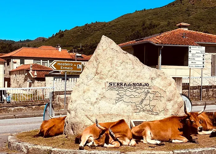 Casa Da Touça Alojamento de Turismo Rural