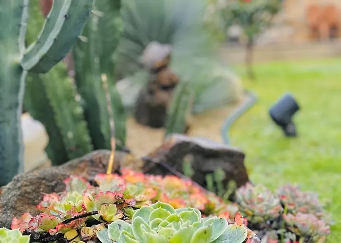 Alojamento de Turismo Rural Casa Da Touça *