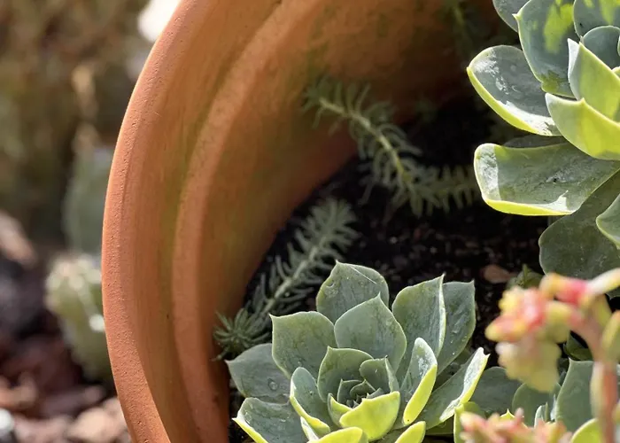 Casa Da Touça Arcos de Valdevez